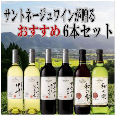 ふるさと納税 山梨市 ワイン サントネージュワインが贈る おススメ 6本 セット