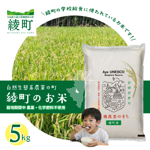 綾町のお米 5kg