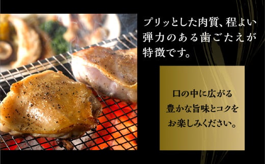 鶏三和 三和の純鶏名古屋コーチン正肉セット770g ／ お肉 鶏肉 愛知県 特産品 産地直送 田原市 渥美半島