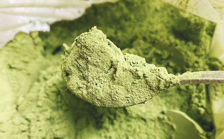 No.515 グリーンティーと森の蜂蜜のチーズテリーヌ