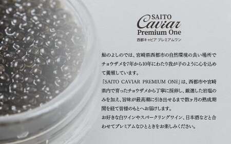 SAITO CAVIAR PREMIUM ONE SHIRO 12g キャビア 西都市オリジナル＜2.2-3＞鮎のよしの