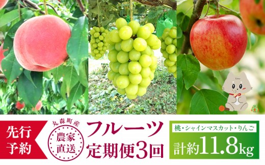 【先行予約】《採れたてを農家直送》 宮城県丸森町産 フルーツ定期便 コース2 （桃・シャインマスカット・りんご） | 桃 13玉～16玉 5kg 1箱 シャインマスカット ぶどう ブドウ 600g以上 3房 ふじりんご ふじ リンゴ  14～18個 5kg 葉とらずりんご フルーツ 果物 農家直送 甘い 旬 採れたて 期間限定 産地直送 宝ノ木果樹園 お取り寄せ 宮城県 丸森町 丸森【48008】