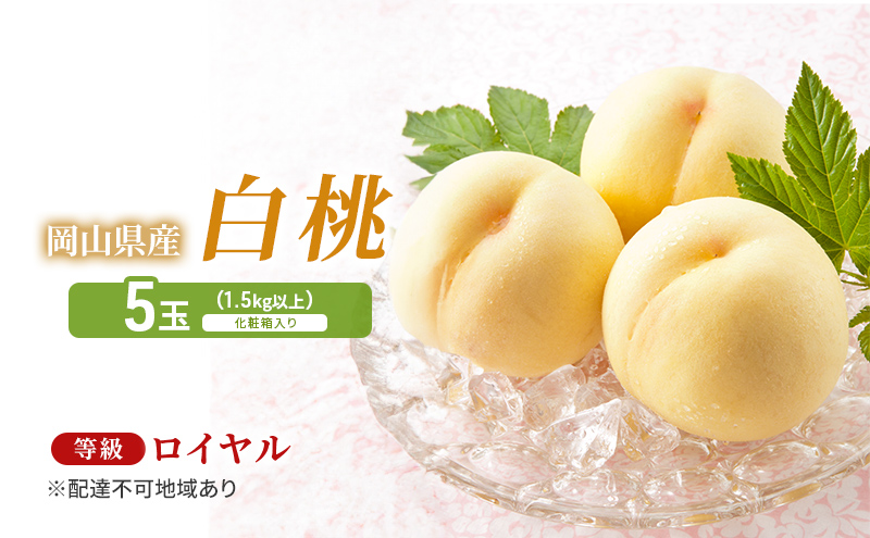 桃 2026年 先行予約 岡山白桃 5玉（1.5kg以上） 等級：ロイヤル 化粧箱入り もも モモ 岡山県産 国産 フルーツ 果物 セット ギフト