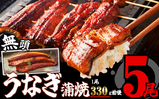
                  うなぎ 訳あり うなぎ蒲焼 5尾 計1.65kg [無頭] | 鰻 ウナギ unagi 特大 蒲焼き 蒲焼 人気 肉厚 ふっくら 小分け 不揃い 規格外 家庭用 真空パック 個包装 冷凍 福岡 須恵 サンフーズ
                