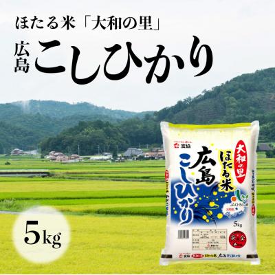 ふるさと納税 三原市 ほたる米「大和の里」広島こしひかり 5kg [066-001]