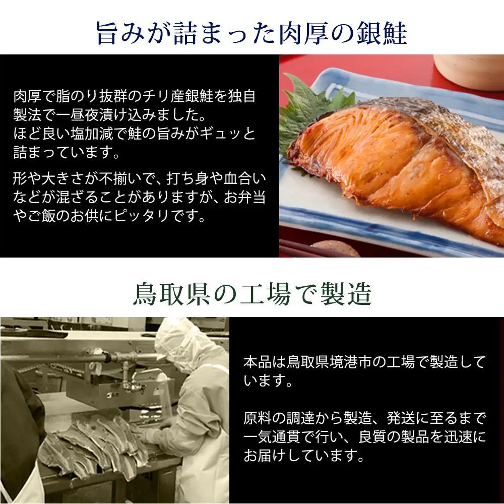 ＜訳あり＞チリ産銀鮭定塩切身(1.2kg)【鳥取県 境港市】
