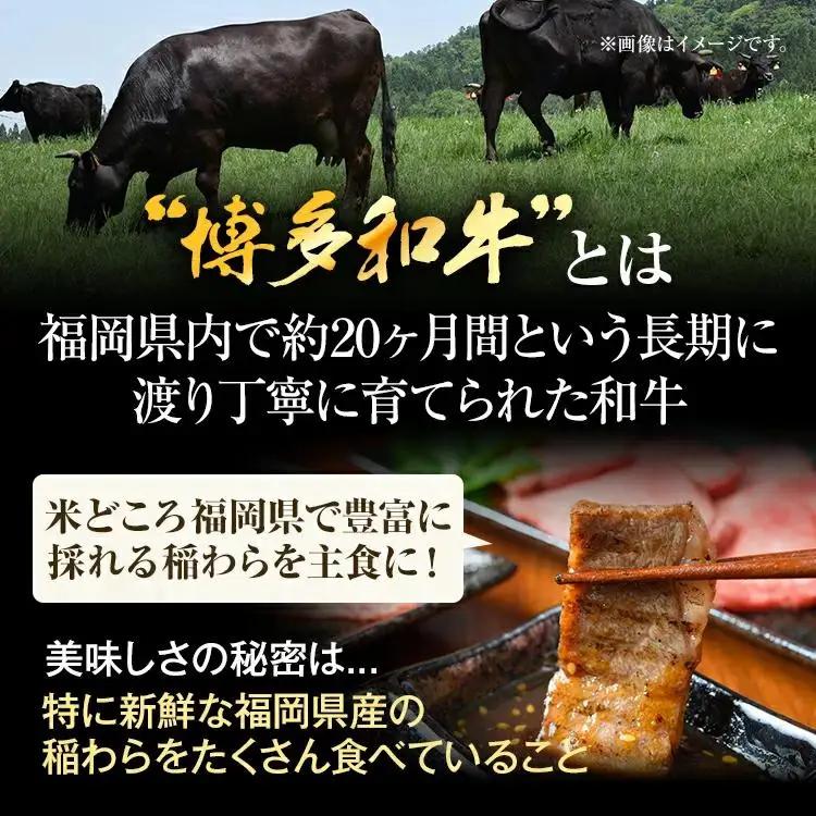 博多和牛焼肉用 500g 黒毛和牛 お取り寄せグルメ お取り寄せ お土産 九州 福岡土産 取り寄せ グルメ MEAT PLUS CP019