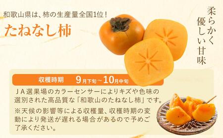 【2024年発送】和歌山の たねなし柿 秀品 約7.5Kg Ｌ～３Ｌサイズ カラーセンサー選果 （和歌山県九度山町産）