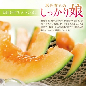 SZ0325　庄内赤肉メロン「しっかり娘」　約3.4kg(赤肉/2玉入/つる付き)