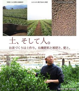 奥八女星野村 伝統本玉露 50g×1袋