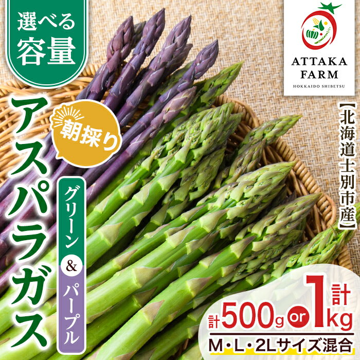 【ふるさと納税】＜特別栽培・期間限定＞北海道士別市産 アスパラ食べ比べ！グリーン＆パープル2色セット (M～2Lサイズ混合・500g・1kg) 【2026年5月以降順次発送】野菜 アスパラガス グリーンアスパラ パープルアスパラ 北海道 北海道産 国産 産地直送 【あったかふぁーむ】