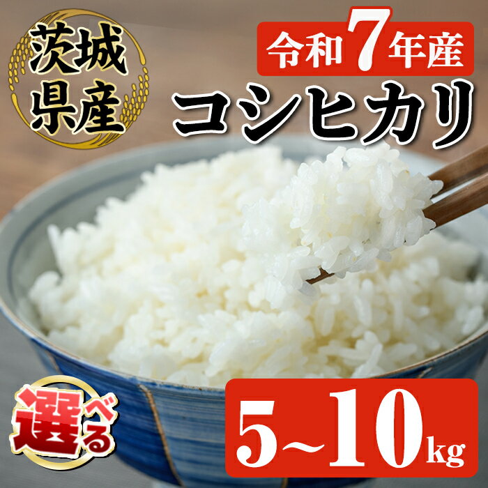 【ふるさと納税】 ＜選べる内容量＞米 お米 令和7年 常陸大宮産 コシヒカリ 5～10kg 令和7年産 精米 白米 こめ コメ ご飯 ごはん こしひかり 5kg 10kg 5キロ 10キロ【JA常陸　常陸農業協同組合】【ho1574】【ho1575】