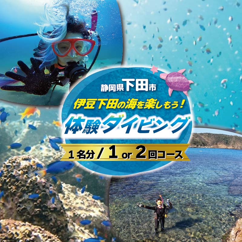 【ふるさと納税】 ダイビング 選べる 1回 2回 下田 体験 海 初心者 アウトドア スポーツ アクティビティ マリンスポーツ レジャー 旅行 観光 夏休み お盆 GW 冬休み 春休み 白浜 ホテル伊豆急 内 ドラゴンレディ 静岡県 下田市 伊豆