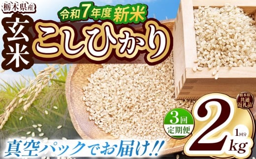 【栃木県共通返礼品】【先行予約】【定期便3回】【数量限定】令和7年度新米 栃木県産こしひかり（玄米真空パック） 2kg  | 定期便あり 玄米 精米 お米 コメ こしひかり 先行予約 ブランド米 栃木県 特産品  下野市 送料無料