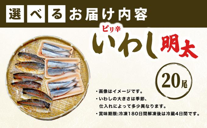 ピリ辛 いわし明太20尾