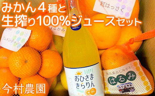 
            今村農園のみかん4種（計約8kg）とおひさまきらりん 生搾り100%ジュースセット 先行予約 2025年 2月発送 柑橘類 みかん ミカン フルーツ 食べ比べ ストレート ＜107-041_5＞
          