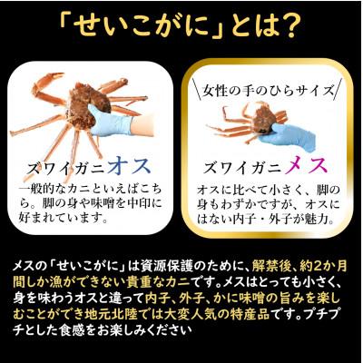 ふるさと納税 あわら市 国産!寿司屋のせいこがに甲羅盛り3個(1個約80g前後) |  | 01
