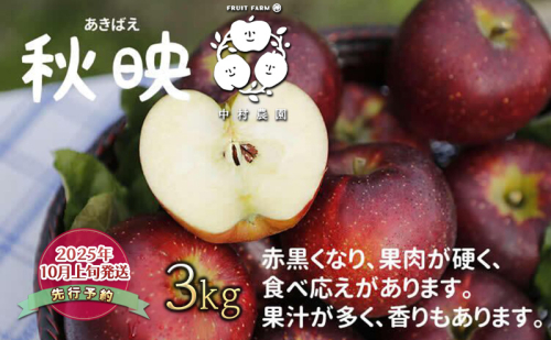 2026年産先行予約 りんご 3kg 樹上熟成 秋映 林檎 リンゴ 果物 くだもの フルーツ 旬の果物 旬のフルーツ 季節の果物 季節のフルーツ 美味しい果物 長野県産 長野県産りんご 信州 長野 長野県 長野市