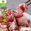 【ふるさと納税】松阪牛 数量限定 肉 牛肉 松阪肉 煮込み カット 600g ブランド牛 高級 和牛 日本三大和牛 国産 真空 赤身 脂身 厳選 料理 角切り 和牛 旨味 カレー コク グレードアップ 贈り物 ギフト プレゼント 三重県 玉城町 ミライエ牛肉店 小林牧場