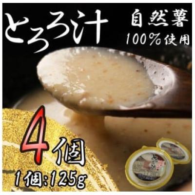 ふるさと納税 藤枝市 自然薯 100% 冷凍 味付けとろろ汁 4個セット