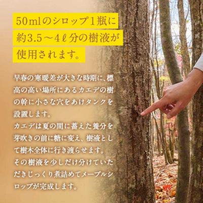 ふるさと納税 佐伯市 メープルシロップ サザンメイプル Southern Maple (70g×1個) |  | 02