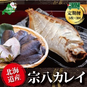 【定期便】北海道 産 一夜干し 宗八 カレイ 5枚 × 3ヵ月 【全 3回 】  （ かれい カレイ 宗八 宗八カレイ 一夜干し 干物 北海道 別海町 人気 ふるさと納税 ）