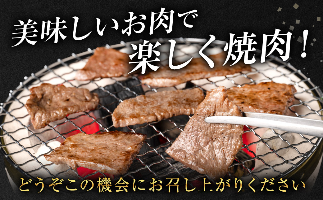 【定期便3回】美味しいお肉で楽しく焼肉！