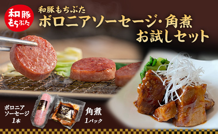 【定期便3回】和豚 もちぶた お試しセット 3ヶ月連続 ソーセージ 角煮 豚肉