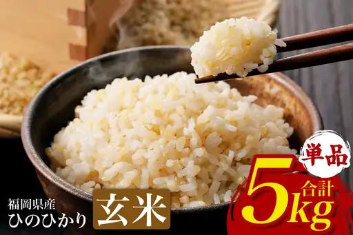 【ふるさと納税】ひのひかり 米 お米 玄米 5kg 5キロ 福岡県産 うきは市 国産 精米 ご飯 ごはん おにぎり お弁当 人気 おすすめ 家庭用 送料無料 新米 ストック 厳選 農家直送 大容量【JA福岡くるめ にじの耳納の里】