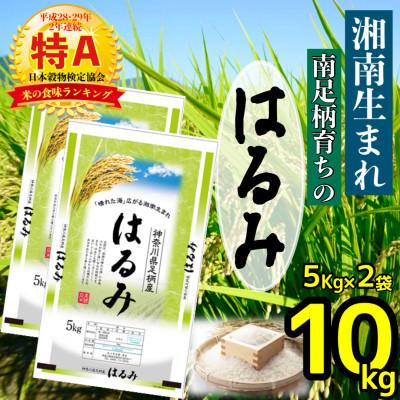 ふるさと納税 南足柄市 【令和7年産】湘南生まれ 南足柄育ちのお米「はるみ」(精米)10kg(5kg×2袋)