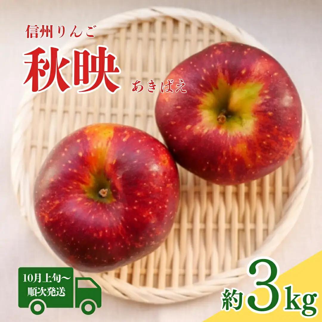 【2026年先行予約】秋映 約3kg|りんご りんご