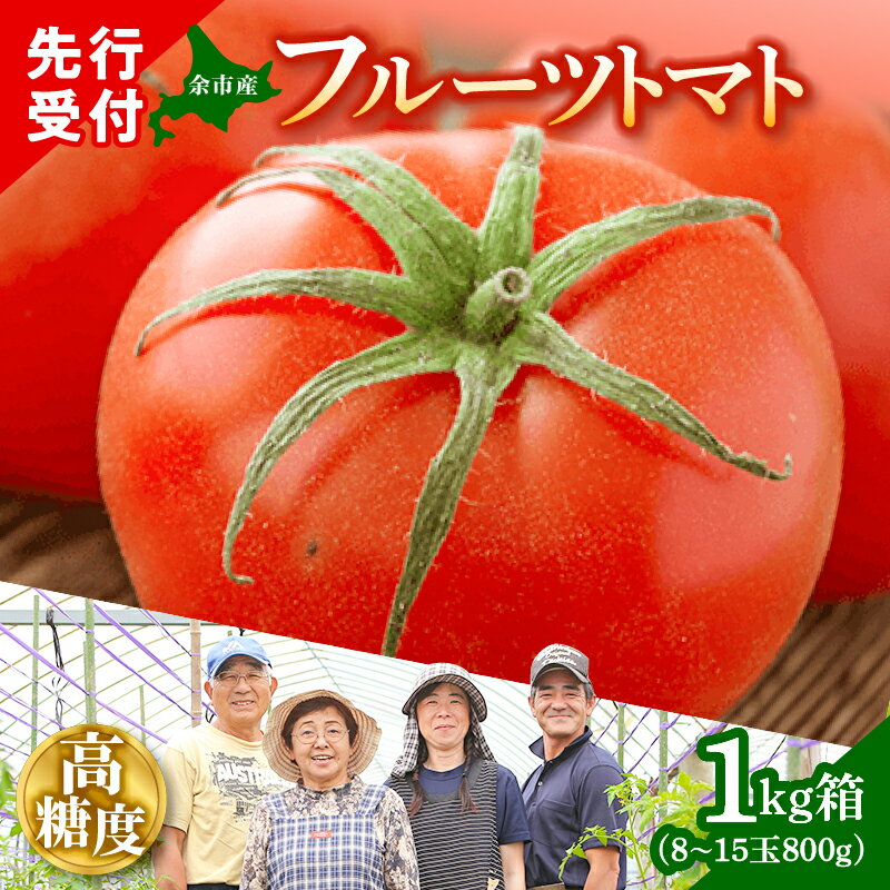 【ふるさと納税】 余市の太陽が育んだ 高糖度 フルーツトマト 1kg箱 （8〜15玉 800g） 北海道 余市町産 ファームフジタ 生鮮食品 野菜 果物 水制限 こだわり 栽培 甘味 酸味 濃厚 美味しい 送料無料