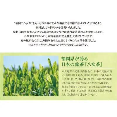 Z26-81 八女茶 煎茶ペットボトル(24本)定期便(隔月×3回)  お茶 大容量 ペットボトル