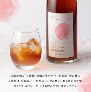 【数量限定】オリジナル本格焼酎「トロントロン(25度)」と梅酒「春の鱗」のセット【 アルコール飲料 お酒 アルコール 酒 焼酎 アルコールセット】