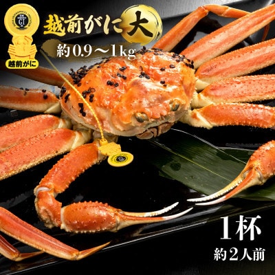 越前がに 浜茹で 大サイズ(生で約0.9～1kg) × 1杯 約2人前【配送不可地域：離島・北海道・沖縄】【1514707】