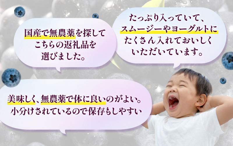 無農薬 童集乃村 ブルーベリー 生果 1kg 【2026年8月1日以降より順次発送】 フルーツ 果物 くだもの スムージー ジャム 朝食 デザート 特産品 人気 国産 旬 三重県 熊野市【mnak00