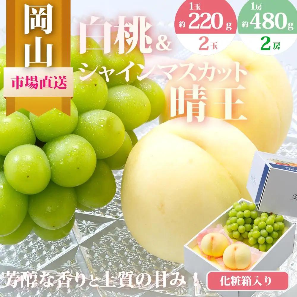 2027年 先行予約 果物 詰合せ 白桃 2玉（1玉220g以上）シャインマスカット 晴王 2房（1房480g以上）化粧箱入り もも 葡萄 岡山県産