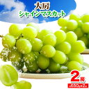 【ふるさと納税】【先行予約】和歌山県産 大房 シャインマスカット 2房 入り(1房 650g × 2房 )《2024年9月上旬-10月中旬頃より出荷予定》【配送不可地域あり】 紀の川市 厳選館 和歌山県 紀の川市 フルーツ 果物 葡萄 ぶどう マスカット