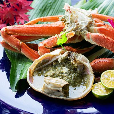 ふるさと納税 宮津市 茹で松葉蟹　1杯(700g級) |  | 01