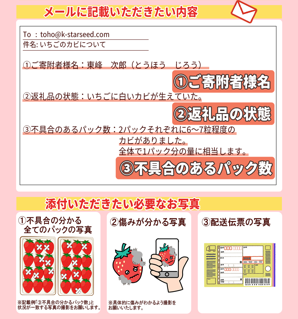 2S3-S 福岡県産あまおう【280g×2パック】