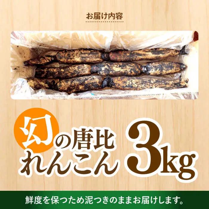 幻の唐比れんこん 3kg  AHCA003 れんこん