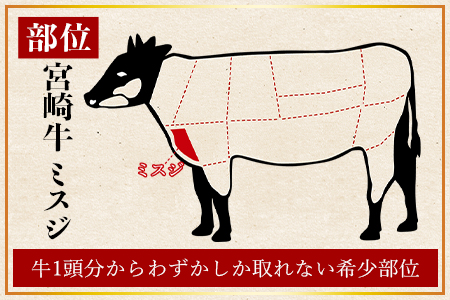 ＜宮崎牛 ミスジステーキ 2枚 合計400g＞2か月以内に順次出荷【 牛肉 牛 肉 黒毛和牛 ブランド牛 4等級以上 高級 国産 宮崎県産 希少部位 霜降り 赤身 お取り寄せグルメ お祝い 特産品 ミ