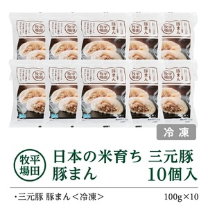 SA1786　【平田牧場】日本の米育ち 三元豚 豚まん　10個