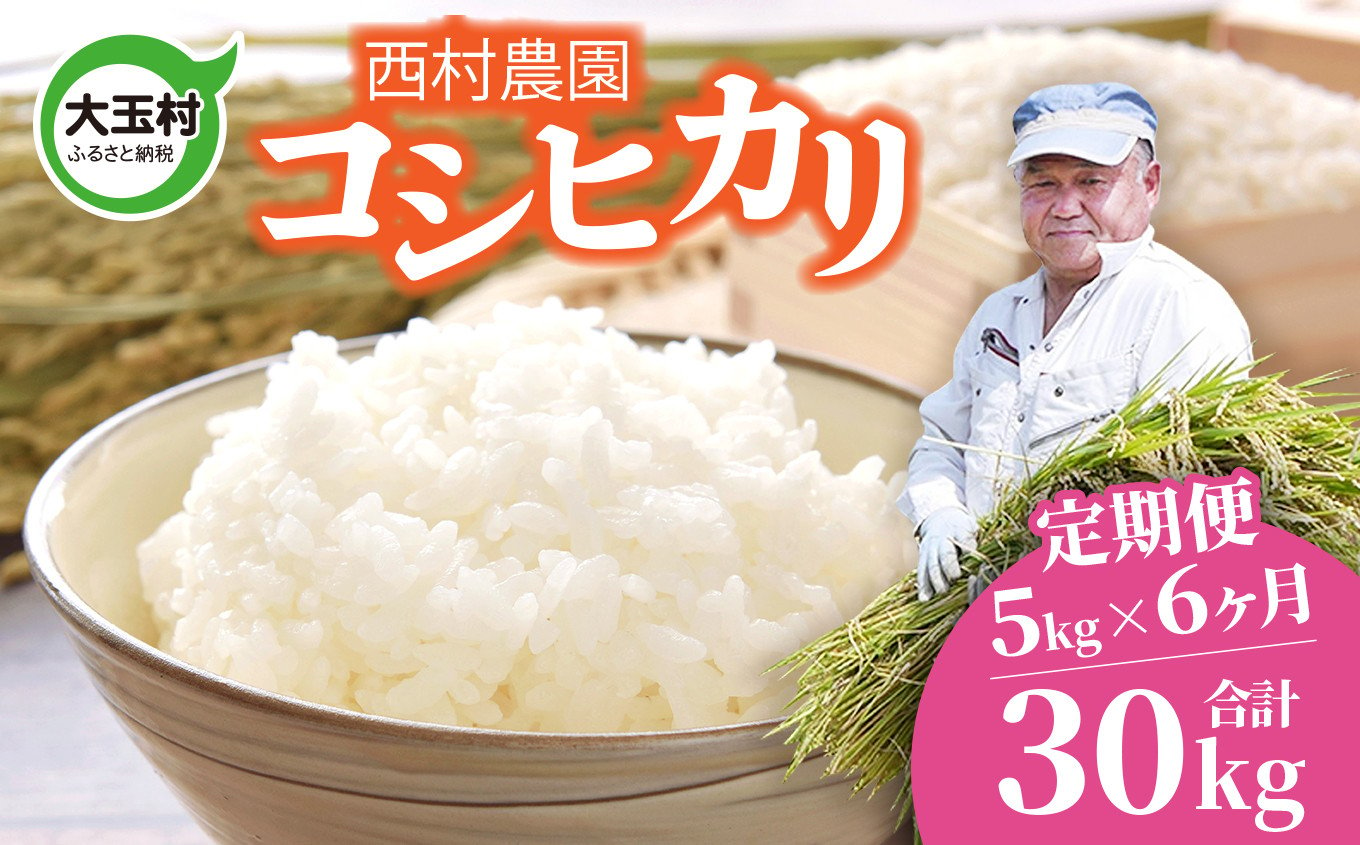 
米 定期便 コシヒカリ 30kg ( 5kg × 6ヶ月 ) 《 令和6年 》 福島県 大玉村 西村農園 新米 ｜ こしひかり 精米 定期 6回 コメ ｜ nm-kh05-t6-R6
