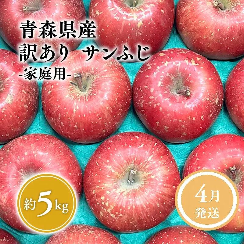 りんご サンふじ 家庭用 約5kg【hi-0059-007-4】