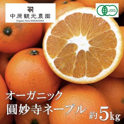 ふるさと納税 大崎上島町 【2027年1月上旬より順次発送】大崎上島産オーガニック圓妙寺ネーブル 約5kg　(有機JAS認証)