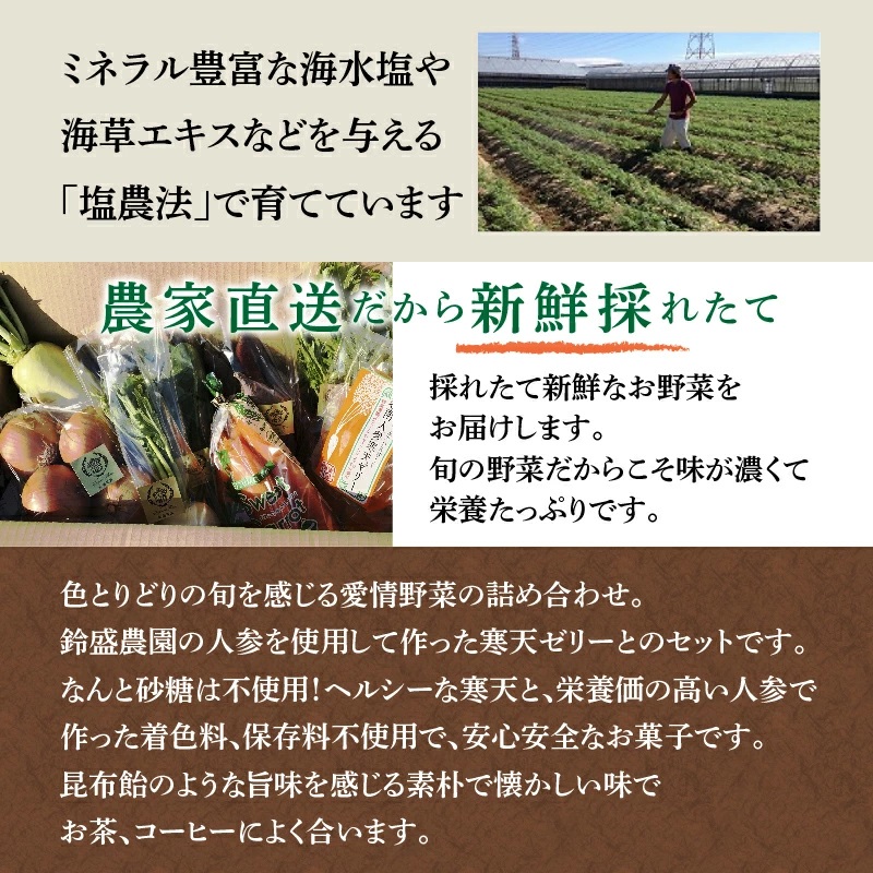 鈴盛農園”旬”の愛情野菜と碧南人参寒天ゼリー 農家直送 にんじん 甘い ゼリー 砂糖不使用 保存料不使用 着色料不使用 フルーツ スイーツ ジュース 自慢 農作物 自然 野菜 H022-011