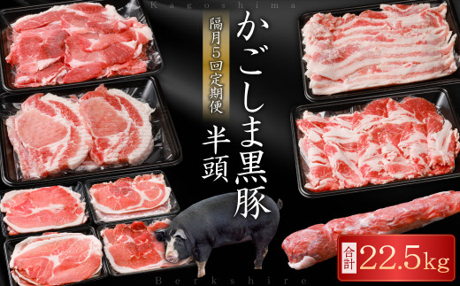 KSR-309 【隔月5回定期便】かごしま黒豚半頭 合計約22.5kg