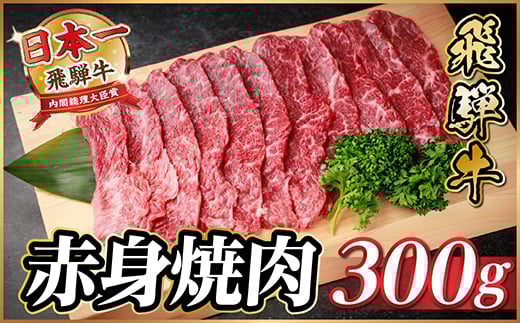 
            飛騨牛 赤身(焼肉・BBQ用) 約300g＜冷蔵便＞A4～A5等級 黒毛和牛【1646121】
          