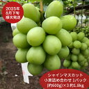 【ふるさと納税】 先行予約 シャインマスカット 小房詰め合わせパック 約600g×3 約1.8kg [2025年発送分] 令和7年産 シャインマスカット 新潟 三条 燕三条 果物 [こひなた果樹園] 【024S045】